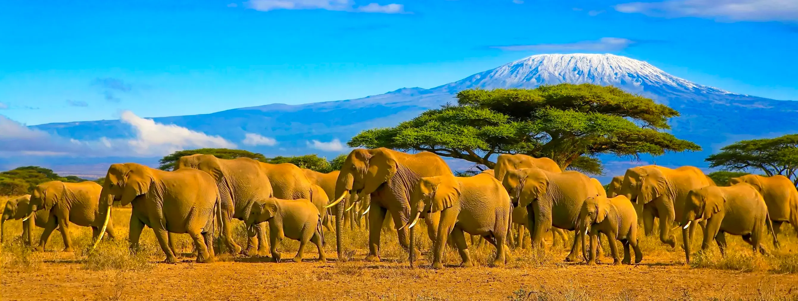 Afrique du Sud