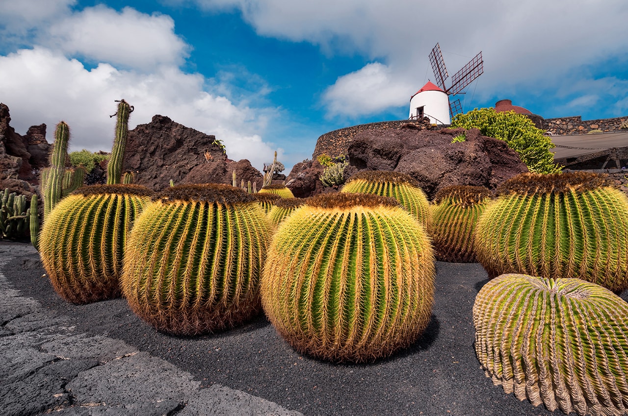 Printemps sans fin, Découvrez Les Îles Canaries