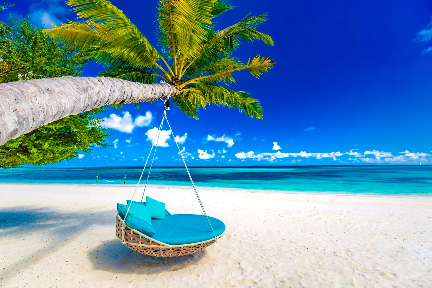 CARAÏBES & ANTILLES