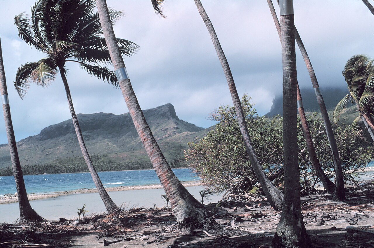 Jour 12 — Papeete | Tahiti