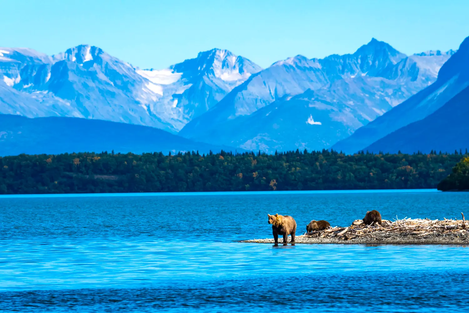 Seattle,Ketchikan,Icy Strait Hoonah,Tracy Arm,Juneau,Victoria,Seattle