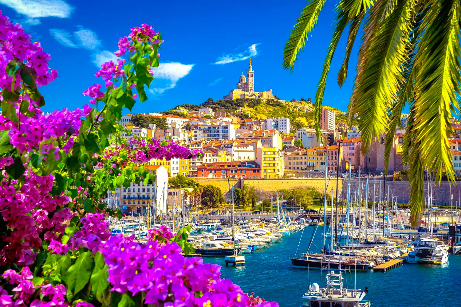 Western Mediterranean