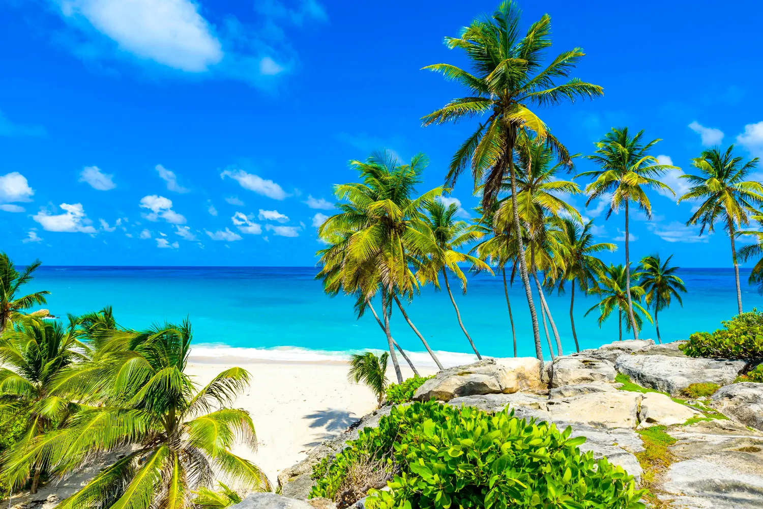 Sea Of Antilles Darkest Spot