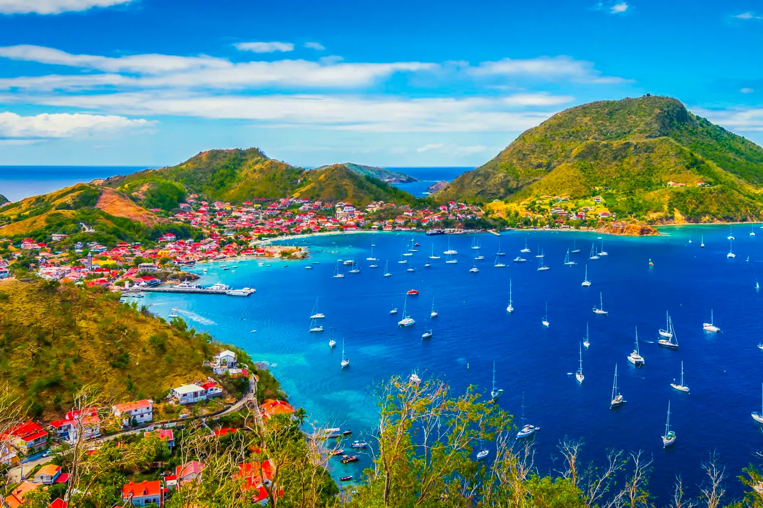 Guadeloupe Bay