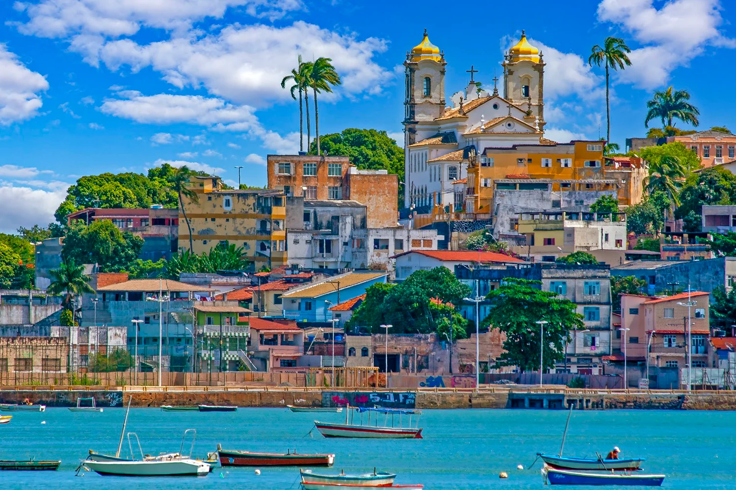 Jour 1 — Salvador de Bahia, Brésil