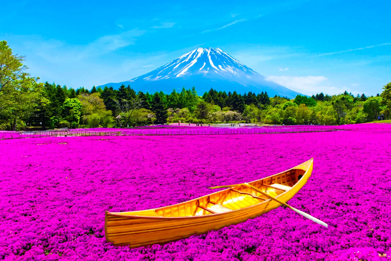 Kagoshima