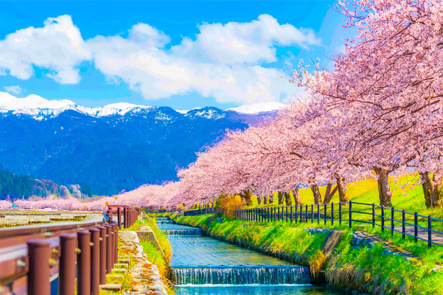 Toyama