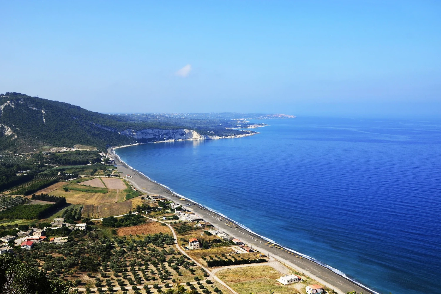 Lattakia
