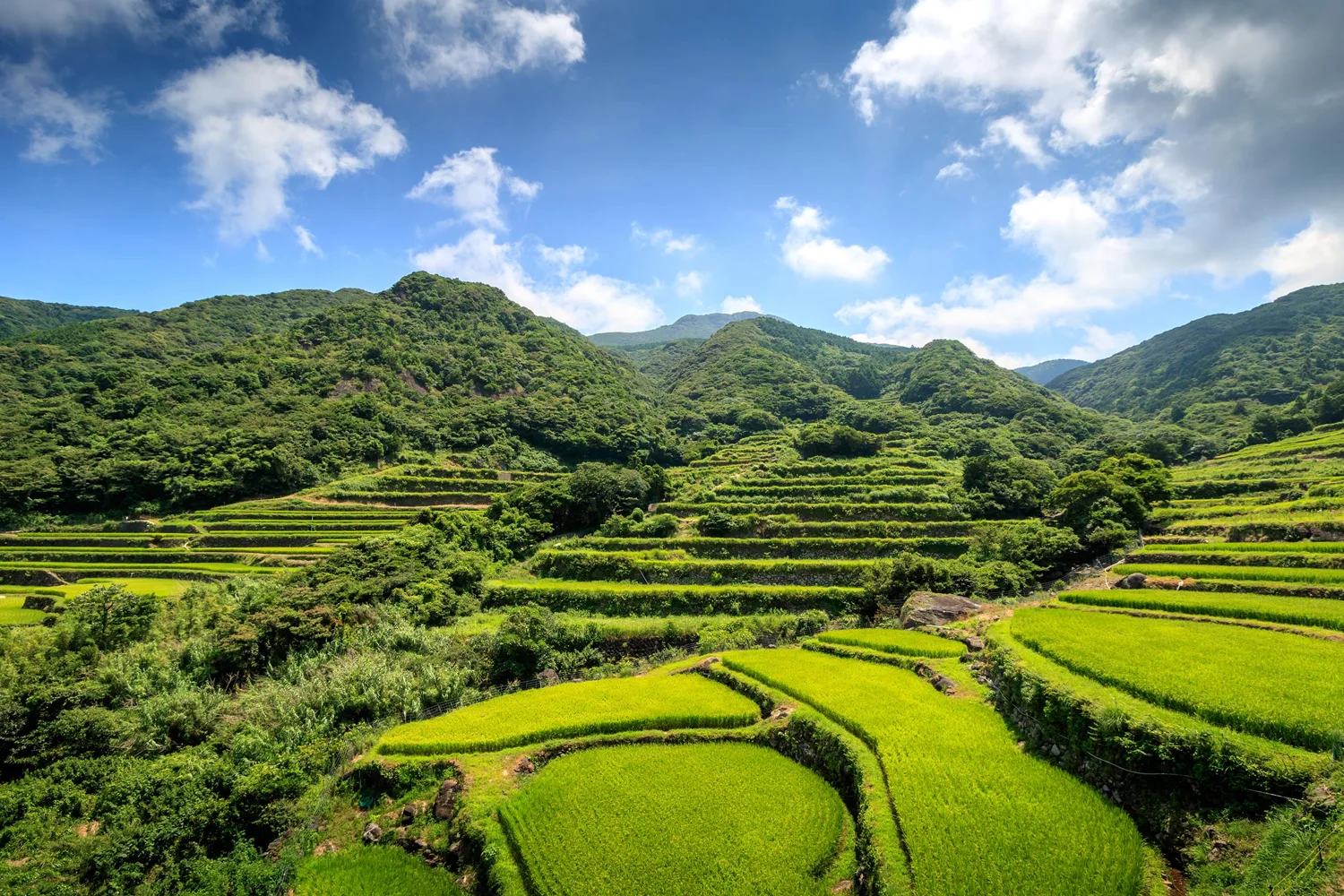 Nakagusuku, Japon