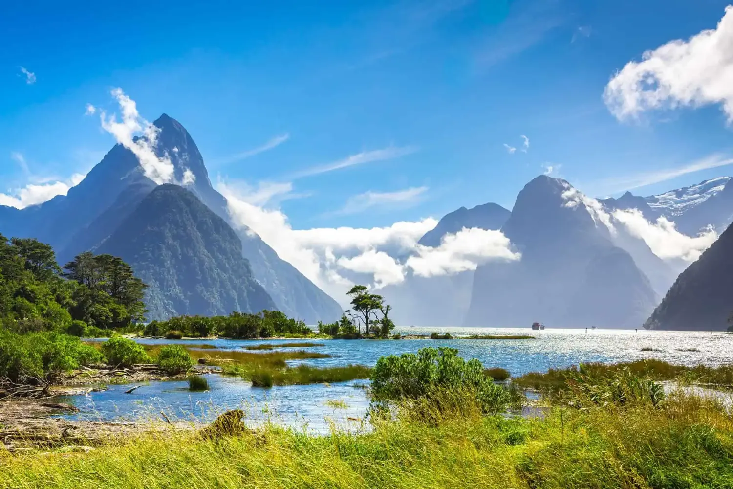 CRUISE DUSKY SOUND, NEW ZEALAND