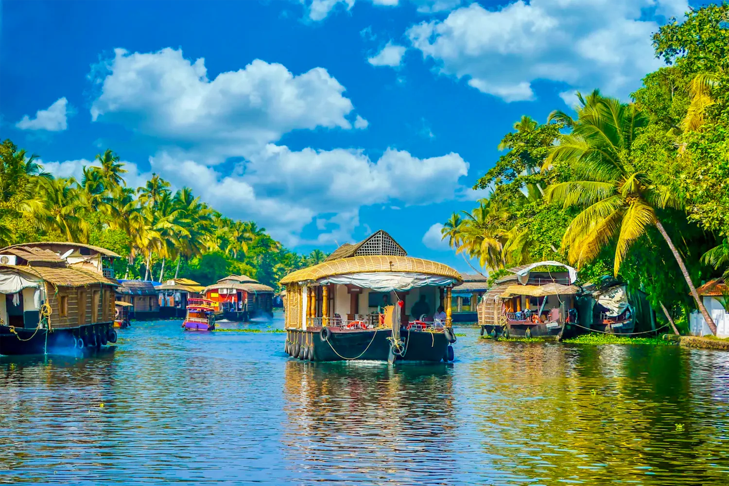 Cochin, Inde