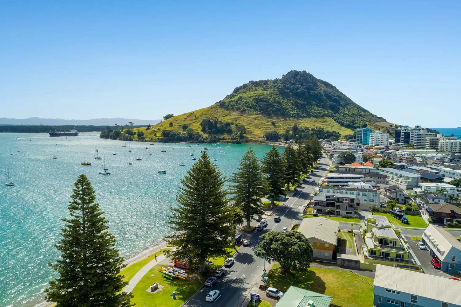 Tauranga