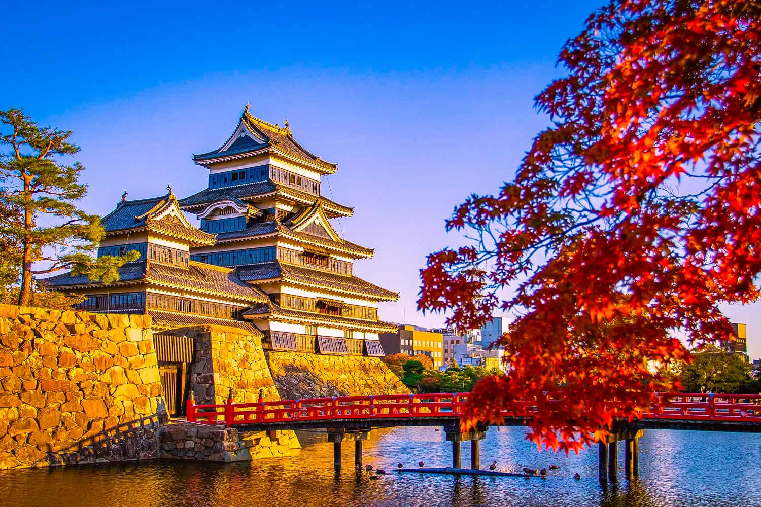 Matsuyama, Japon