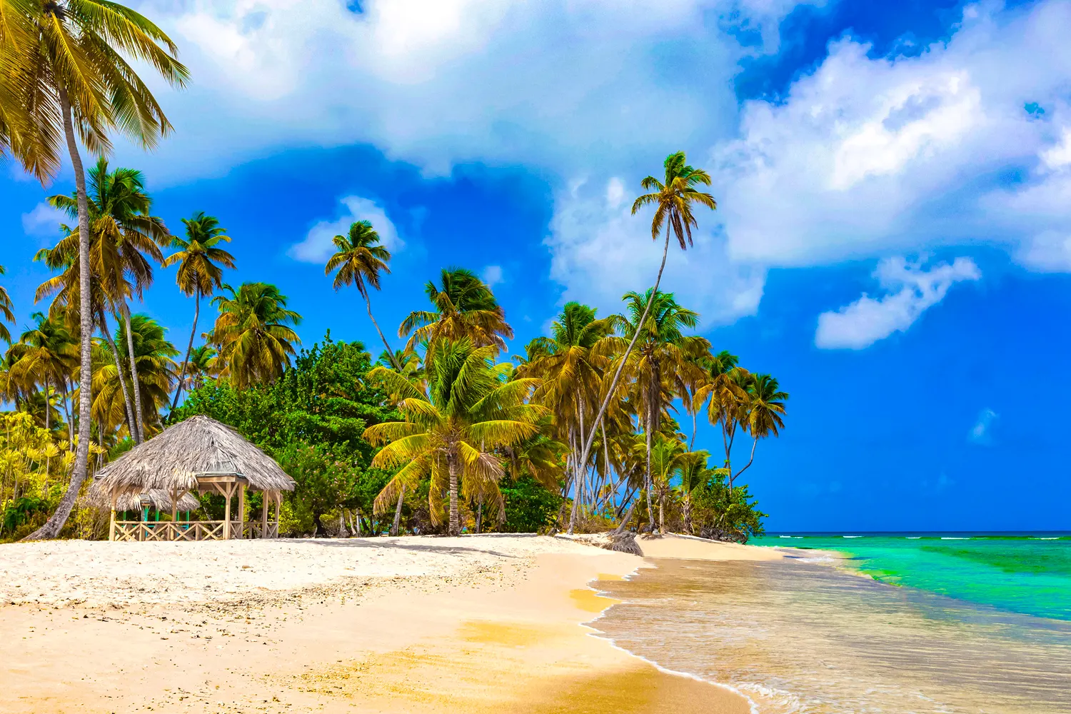 Scarborough | Tobago