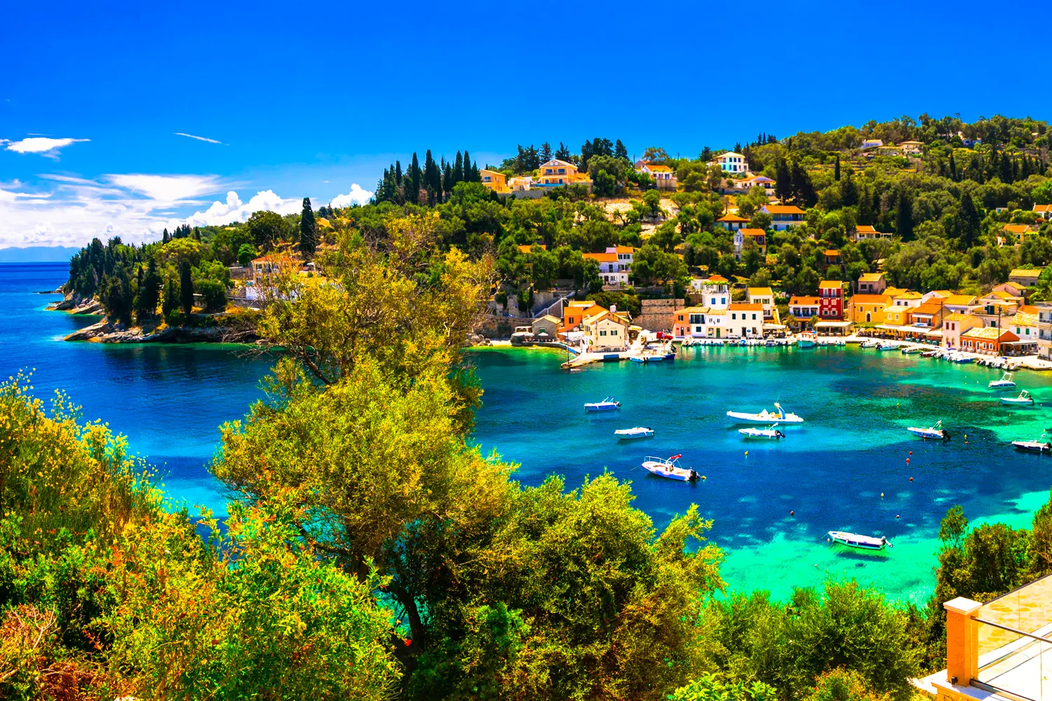 Paxos