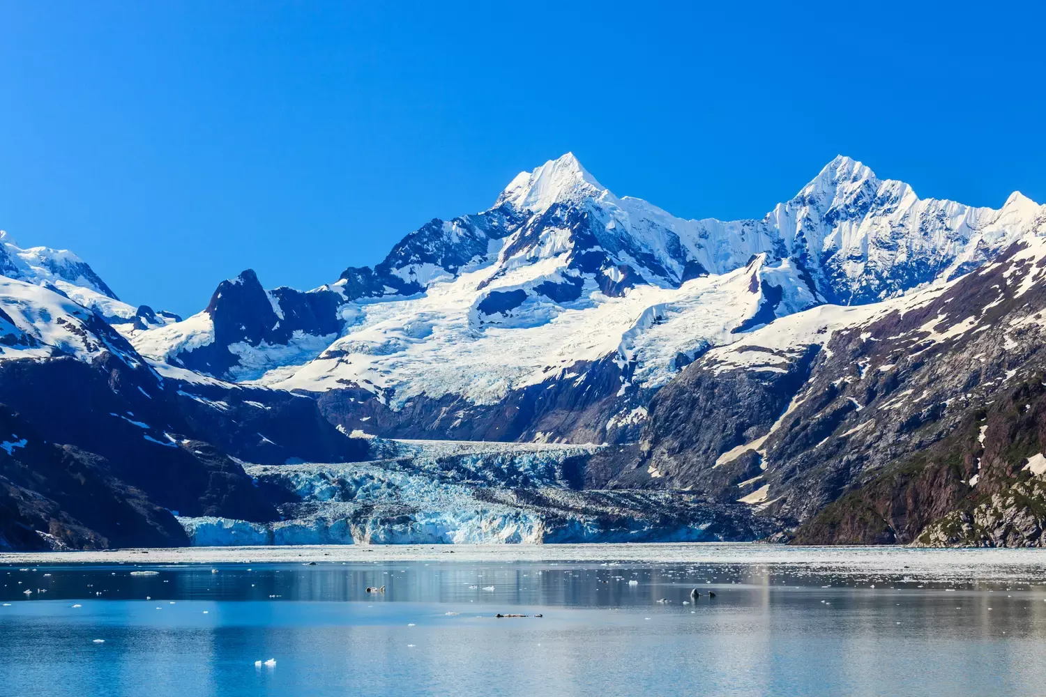 CRUISE GLACIER BAY, AK