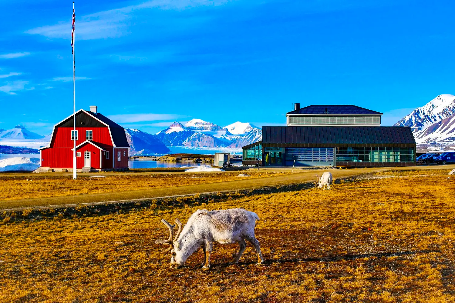 Ny-Ålesund, Norvège