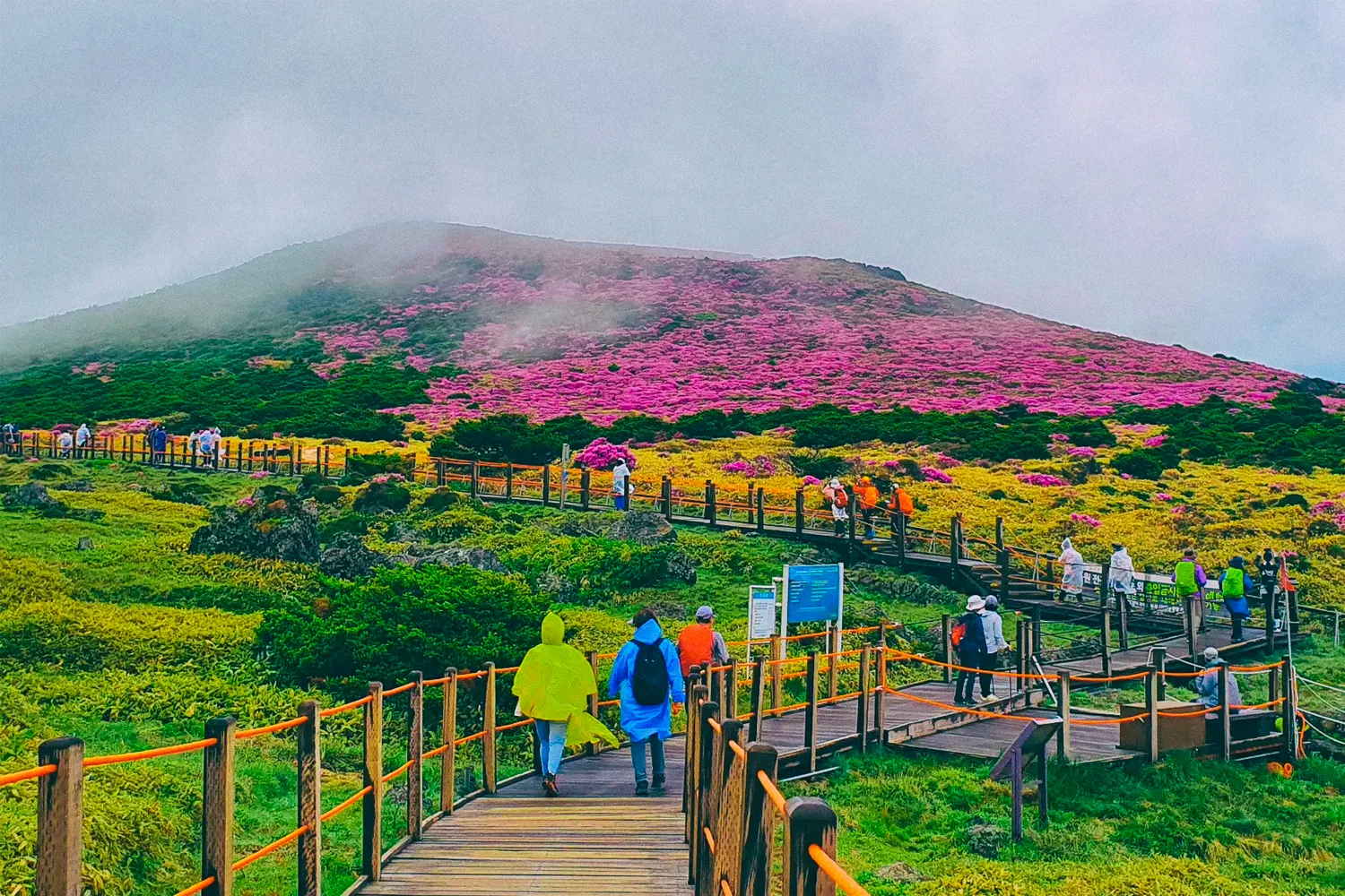 Jeju, Korea Repubic of