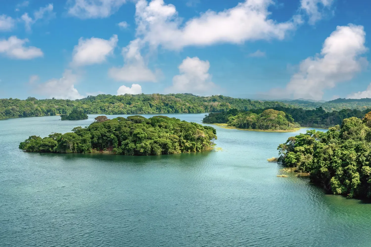 PANAMA CANAL GATUN LAKE PANAMA