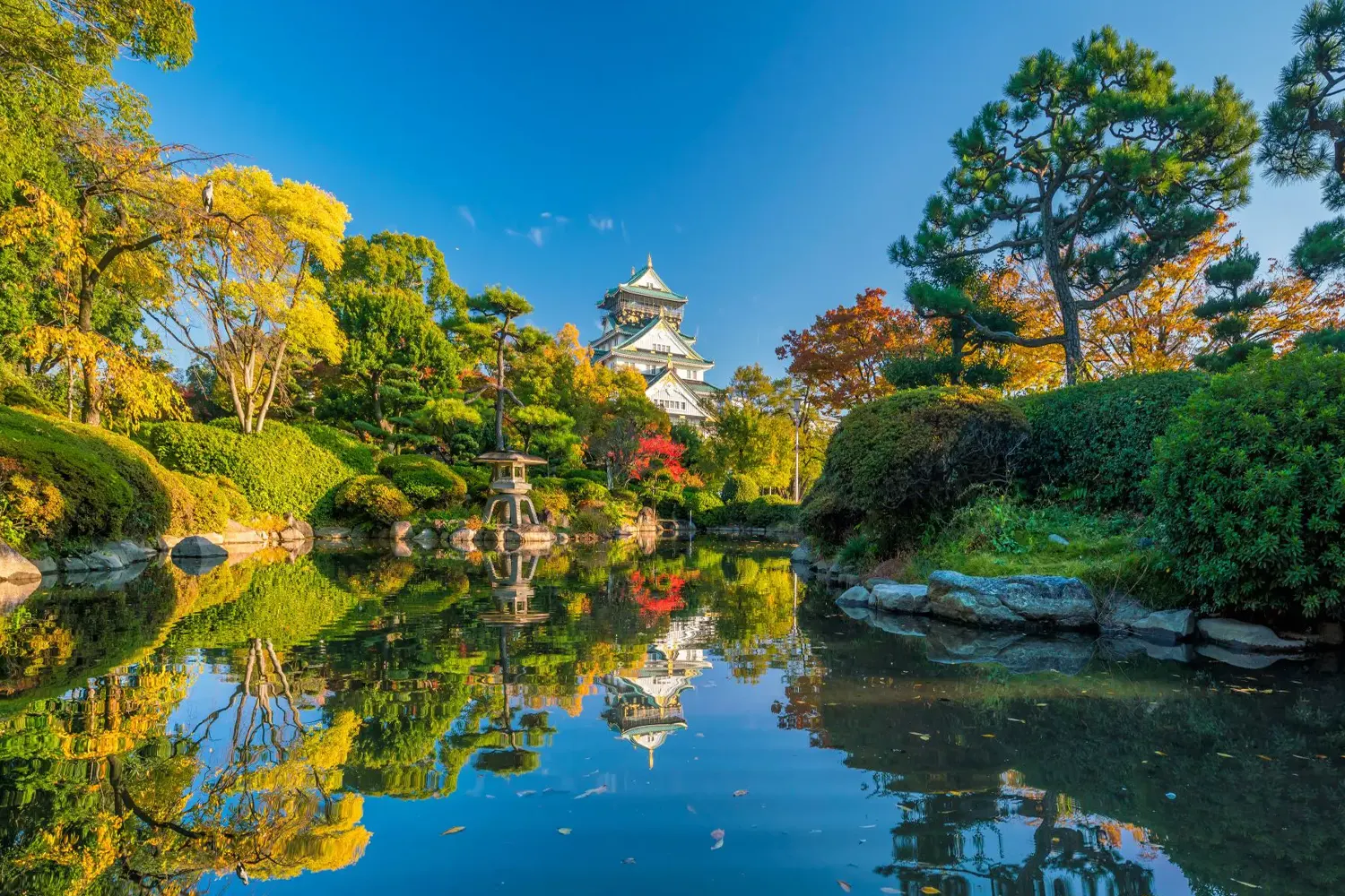 AKITA  JAPAN