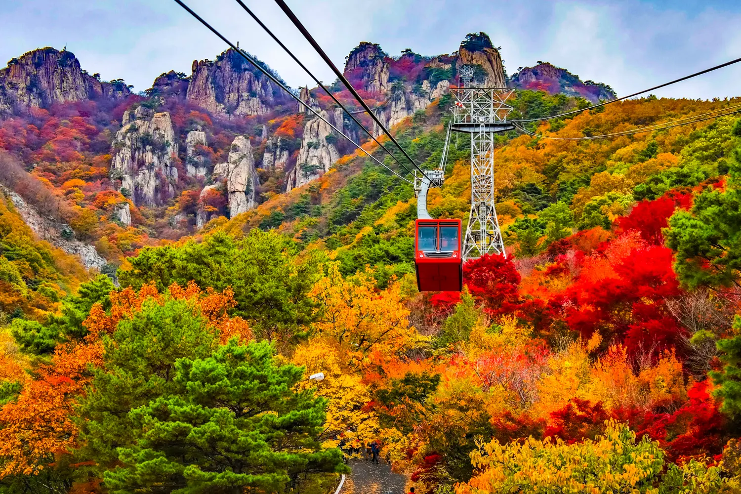 Sokcho