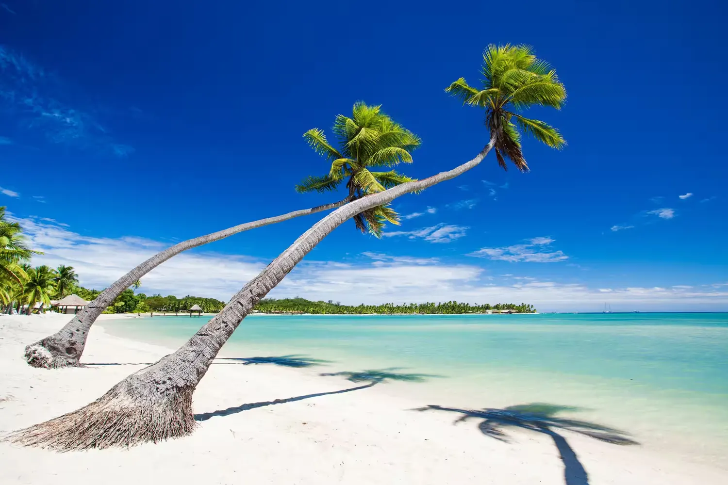 Suva, Fidji
