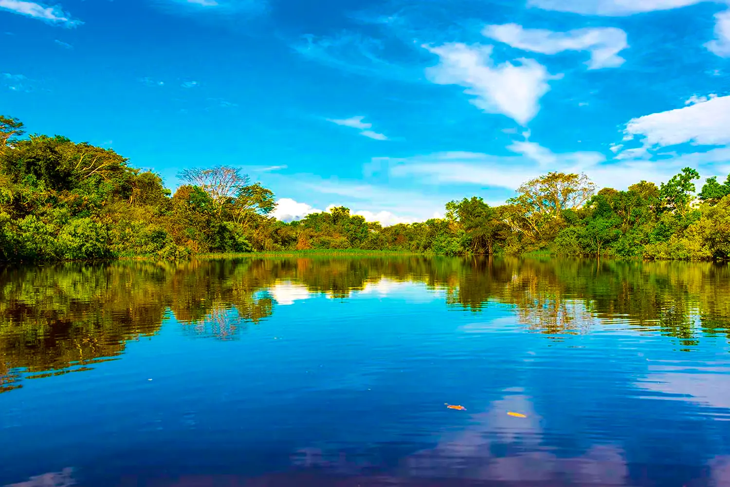 Fazendinha, Brazil
