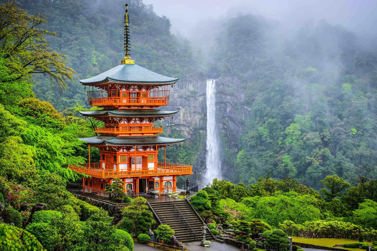 Wakajama, Japon