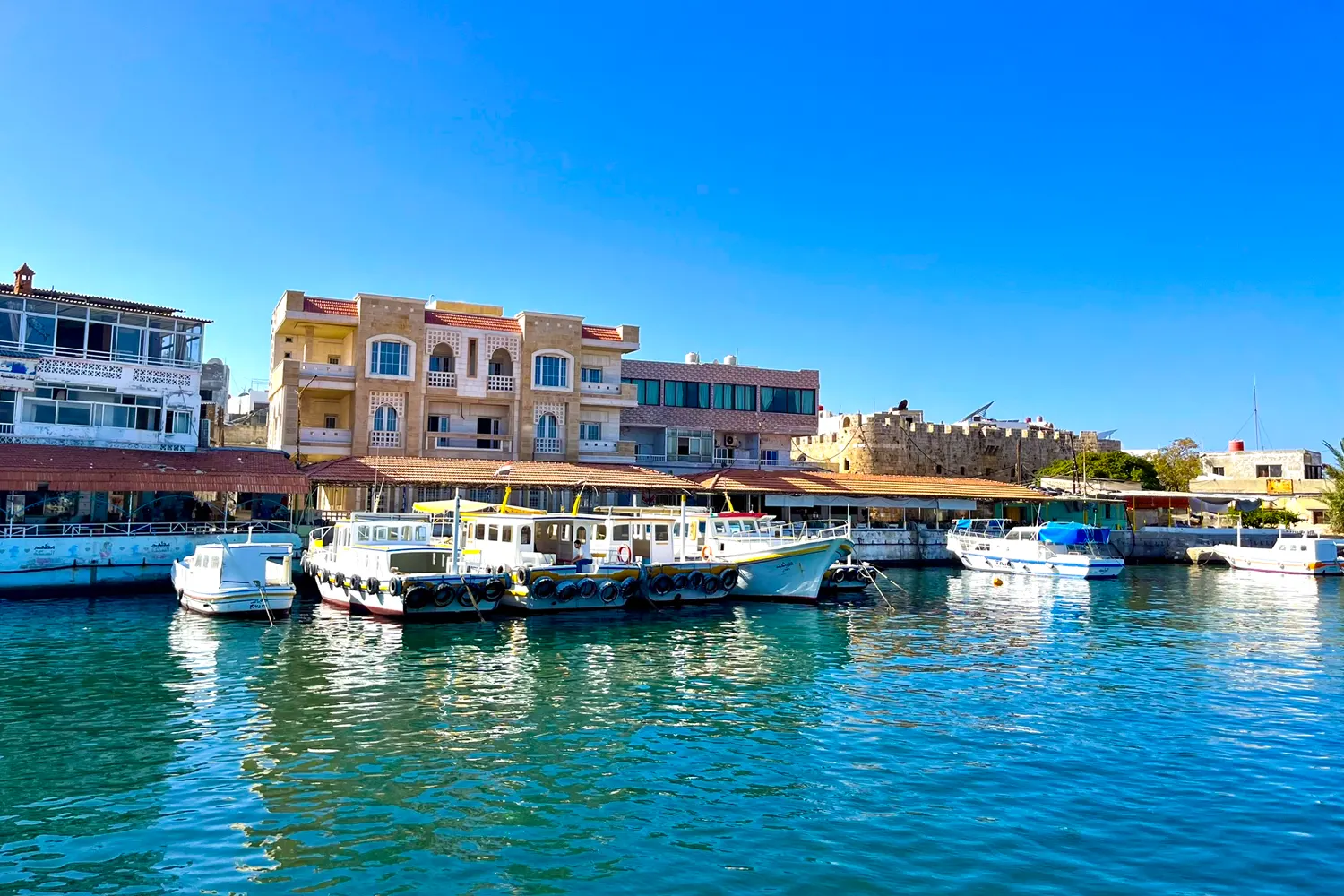 Tartus