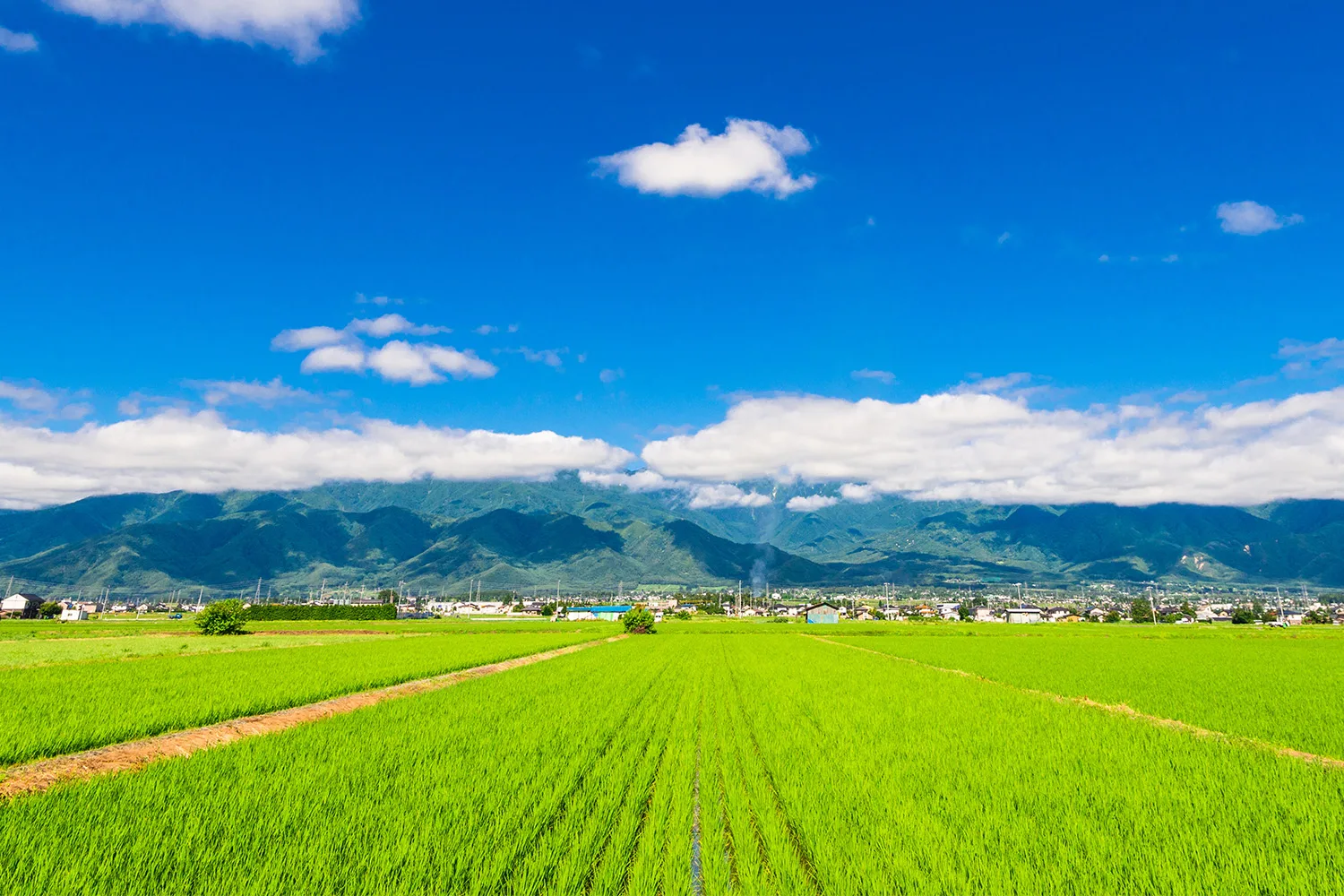 Yokkaichi, Japon