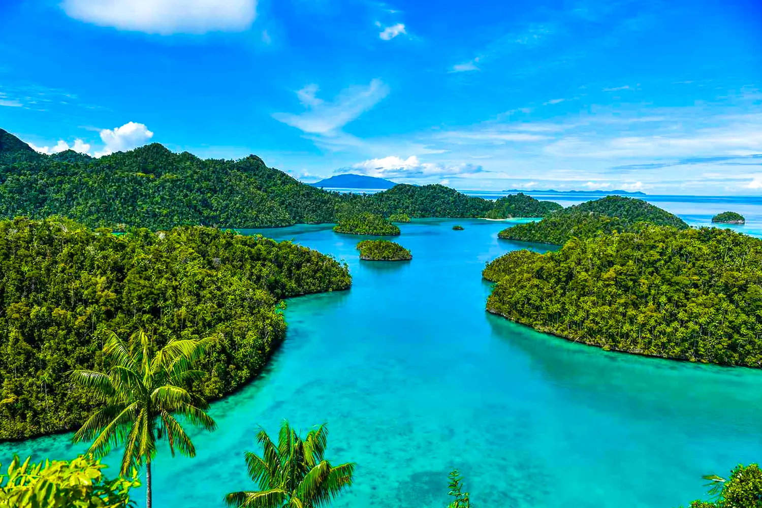 Ternate Moluccas
