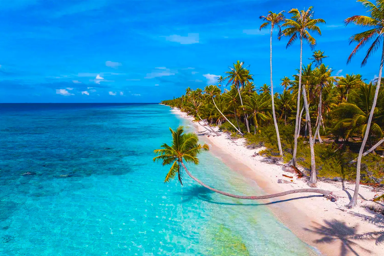 Kadmat Island, India