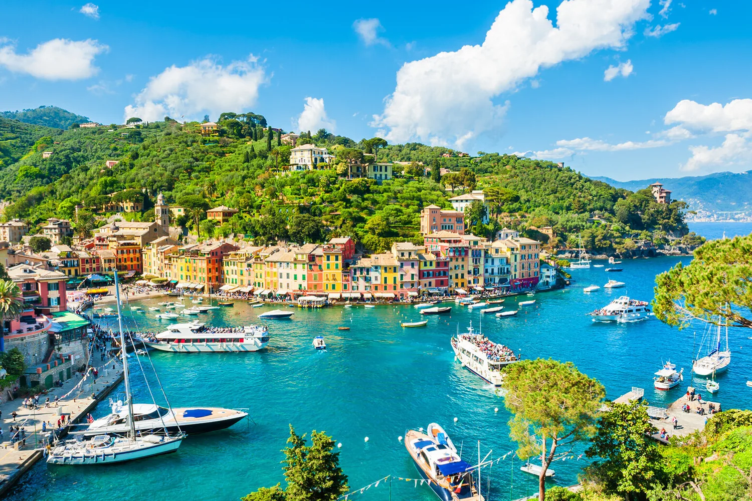 Genoa | Portofino