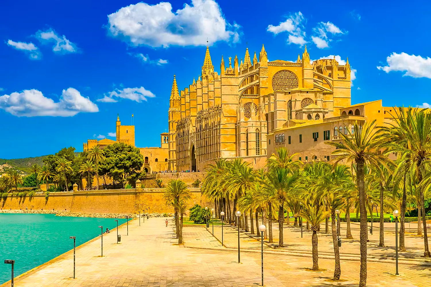 Palma Bay