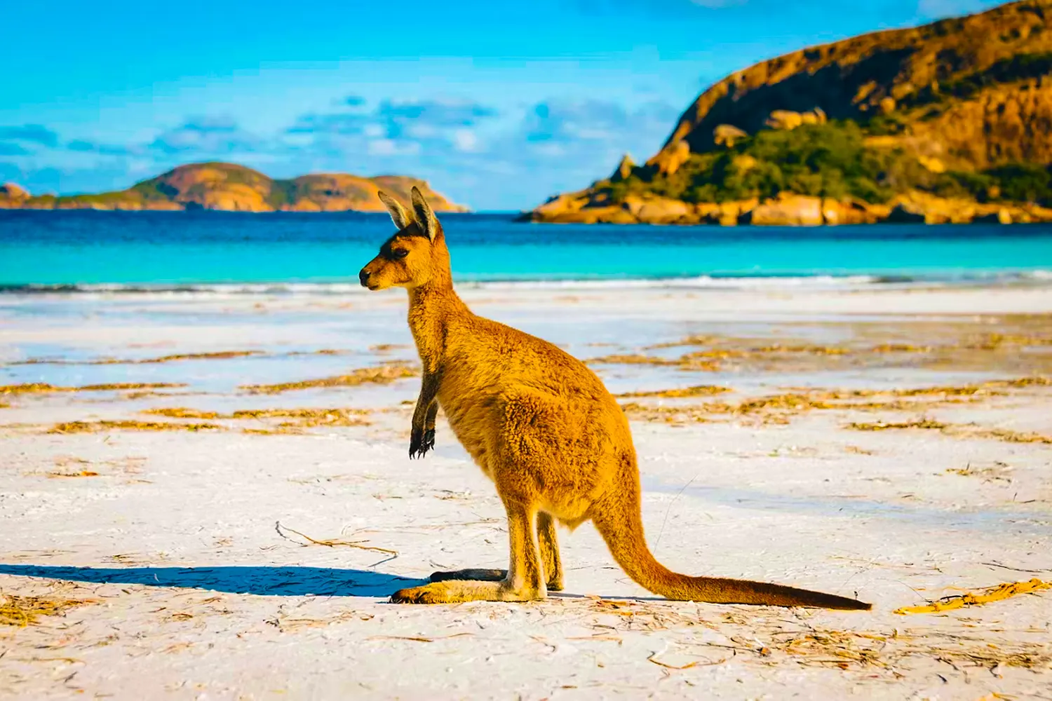 ESPERANCE, AUSTRALIA