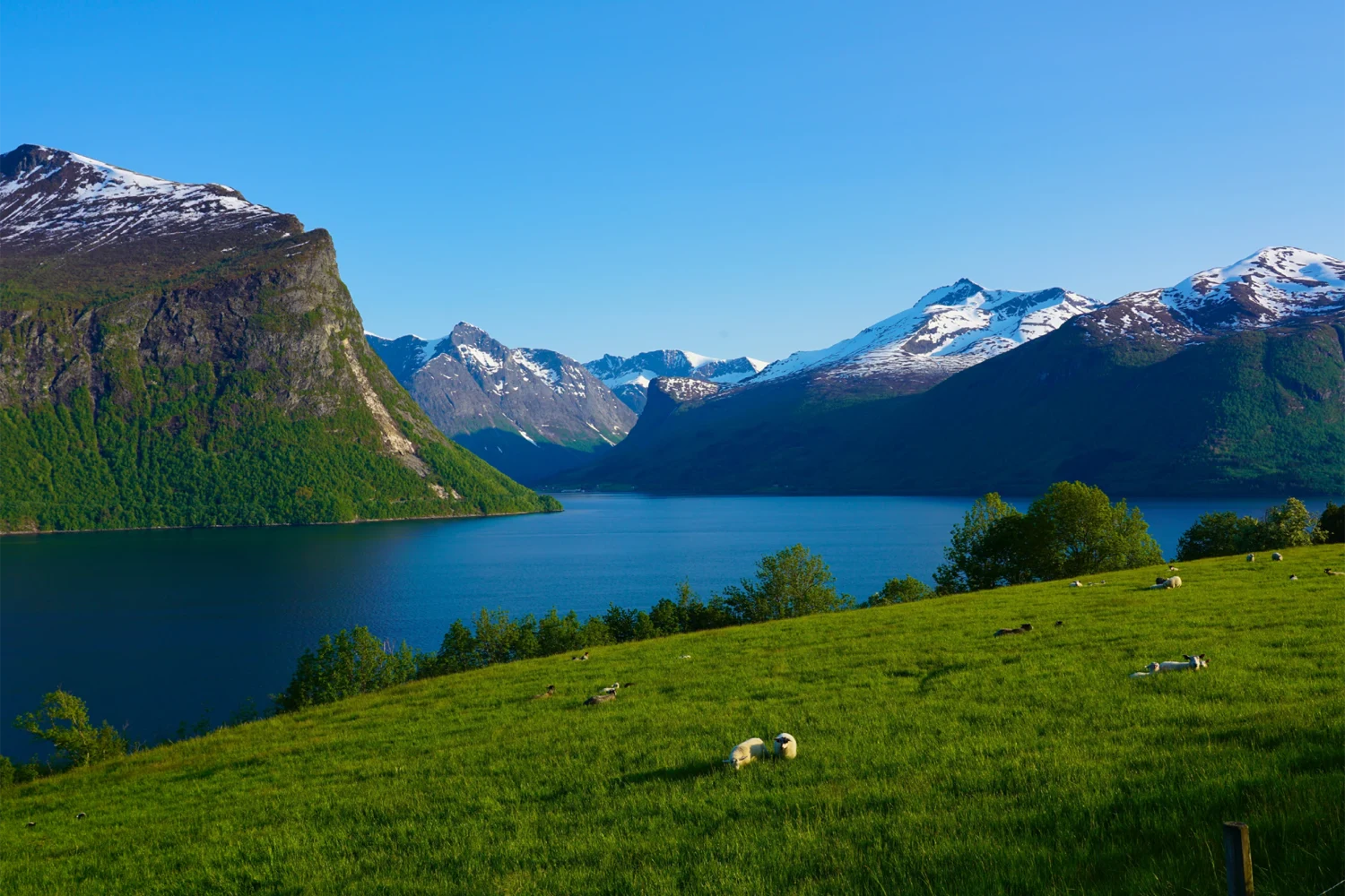 Molde