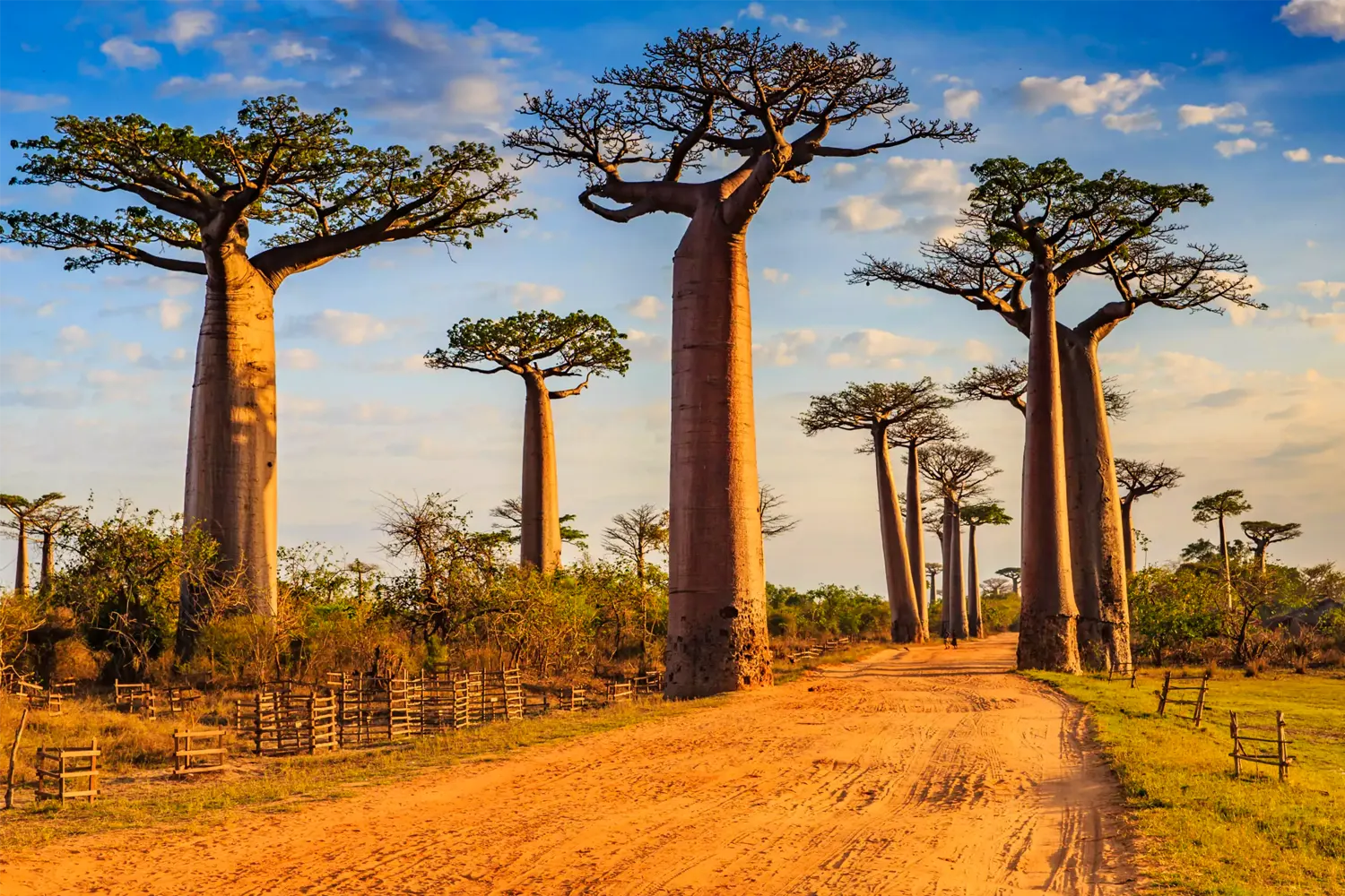 Anakoa, Madagascar