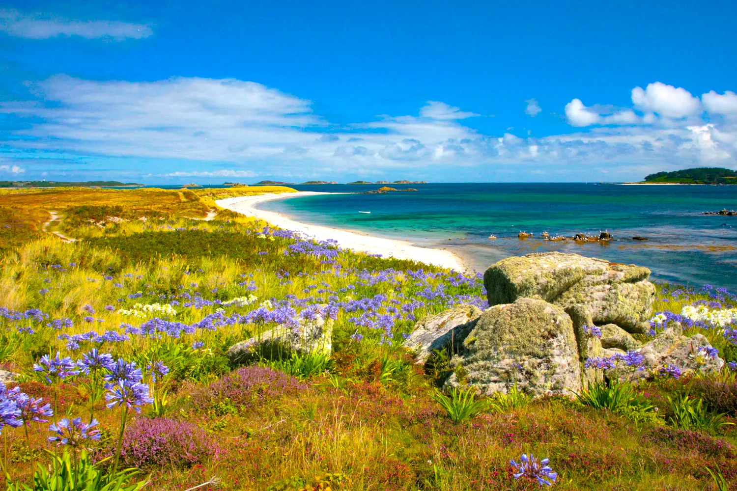 Tresco, United Kingdom