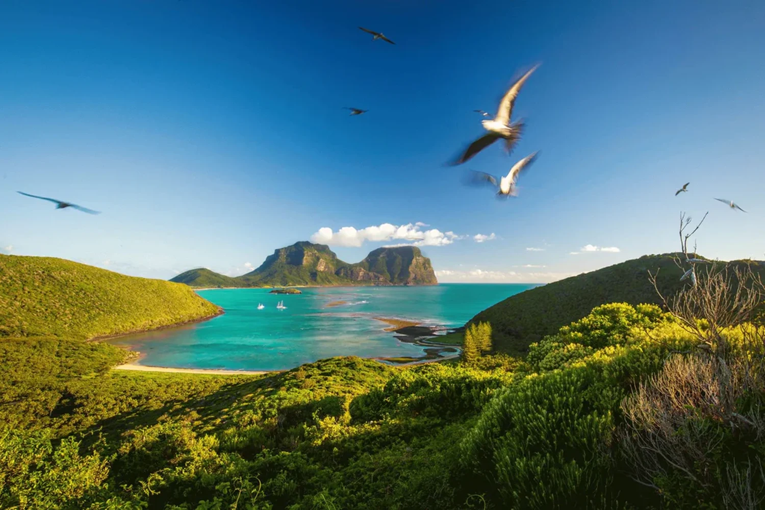Ilha Redonda