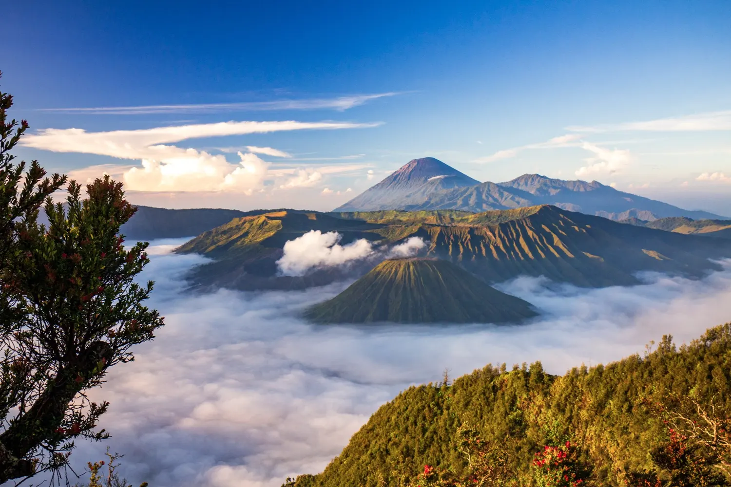 Surabaya Java/Indonesia
