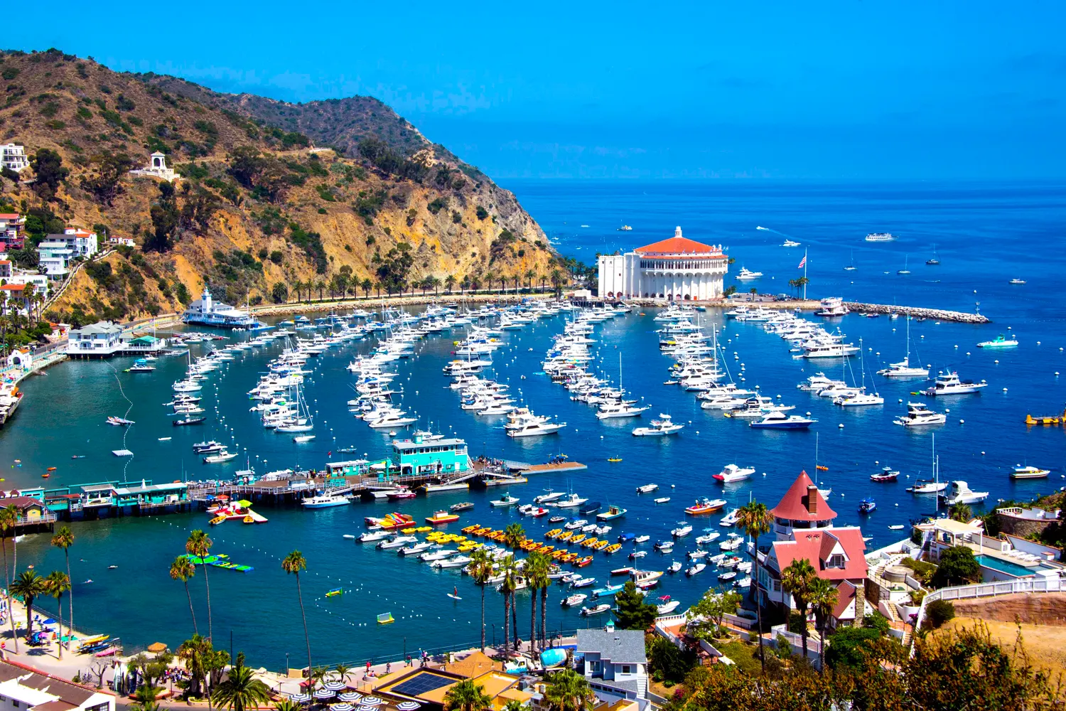 Catalina Bay