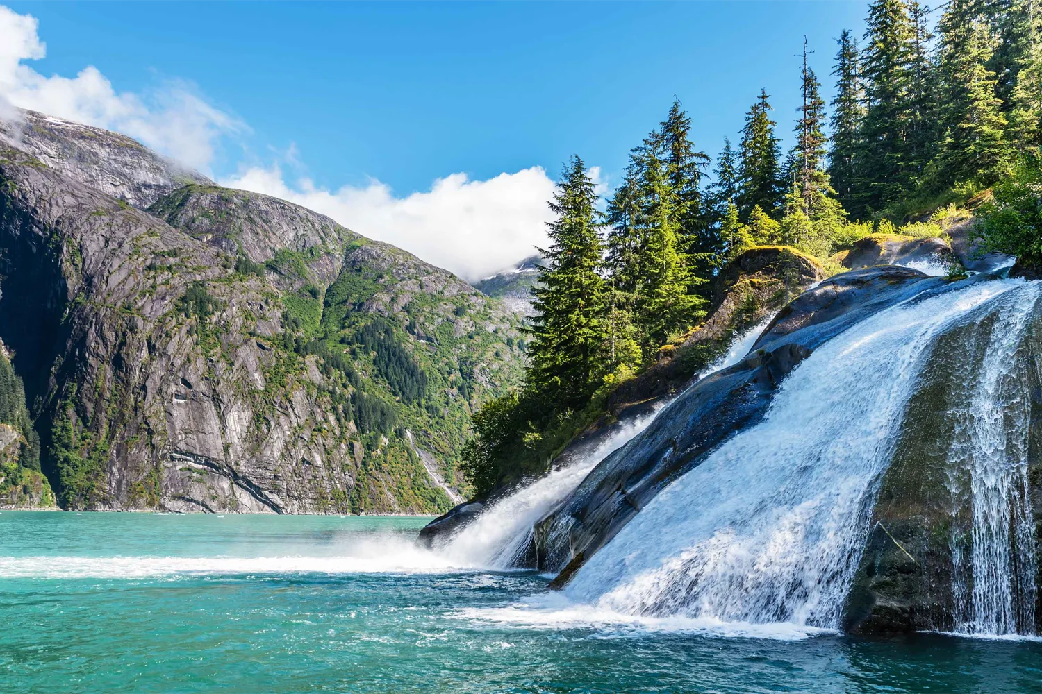 Cruise Tracy Arm Fjord N, United States