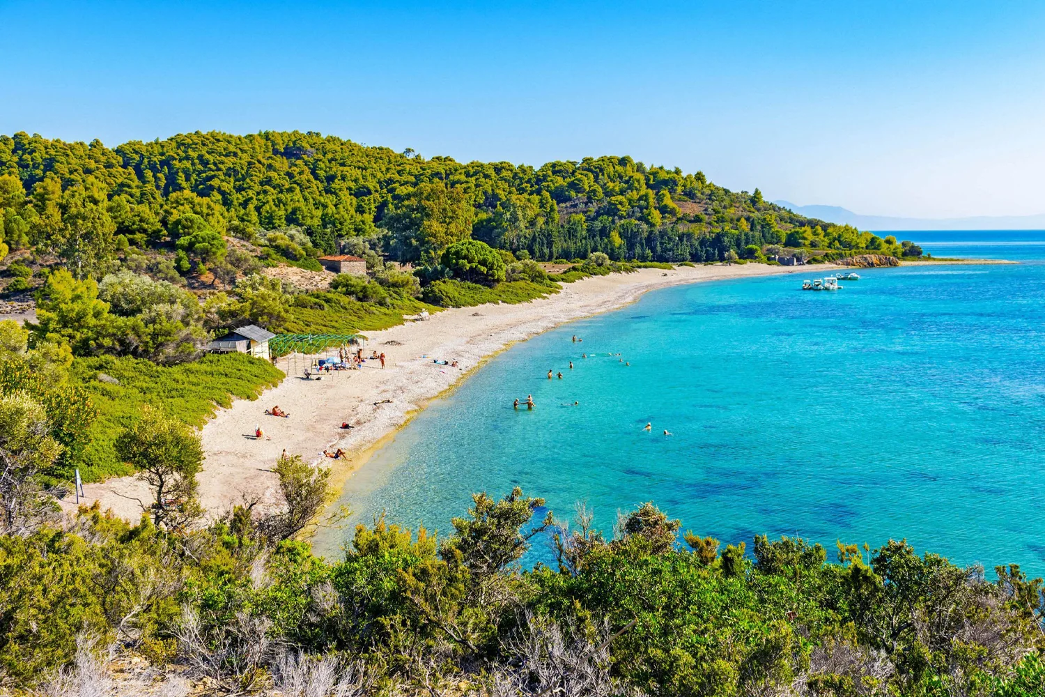 Kabatebe, Turkiye