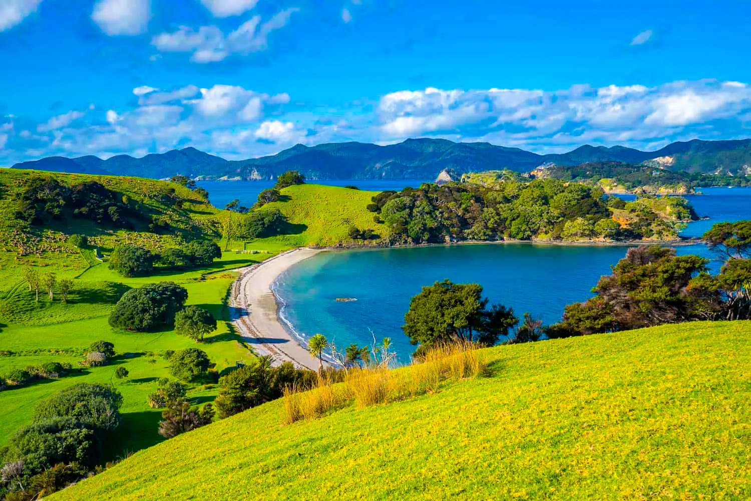 Waitangi | Bay Of Islands