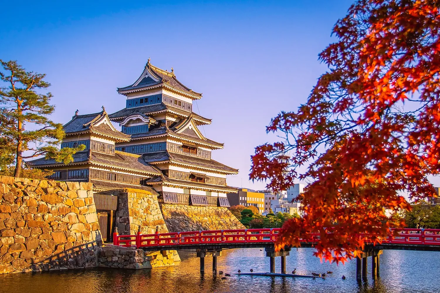 Kumamoto,Japan