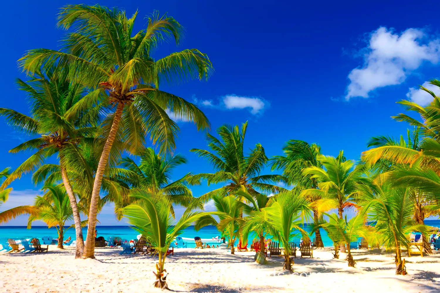Samaná, République dominicaine