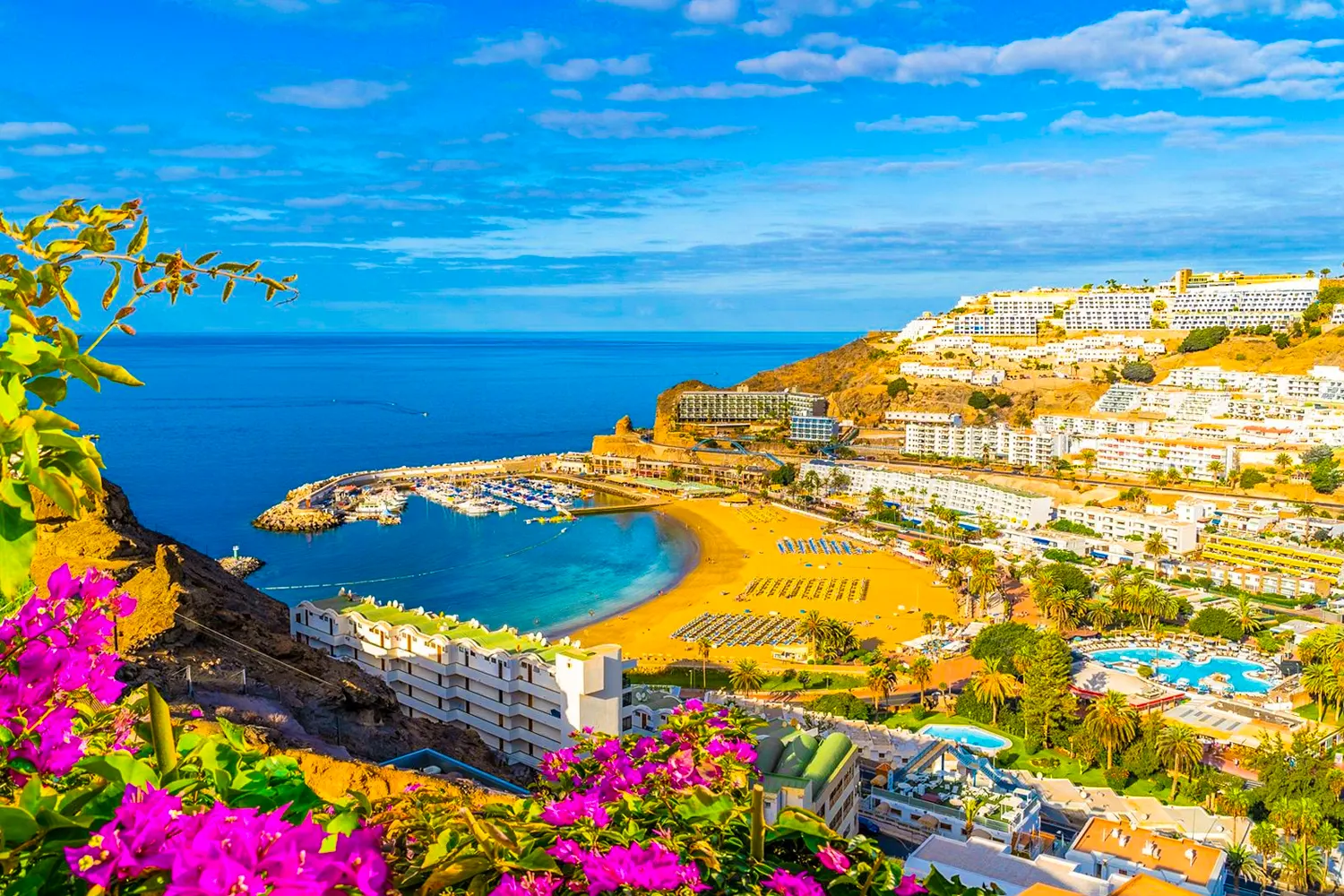 Canaries