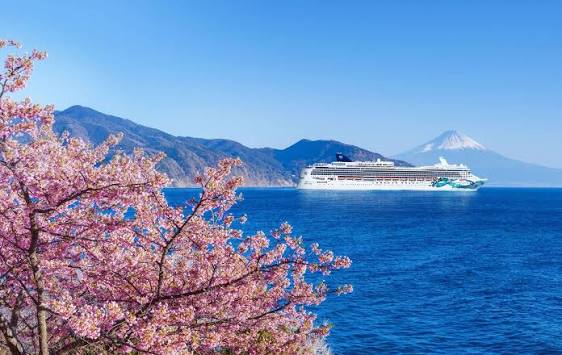 NORWEGIAN JADE